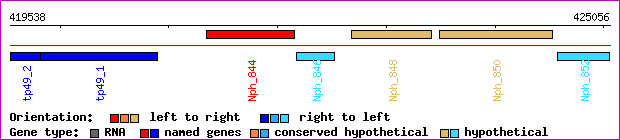 gene map