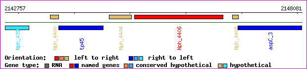 gene map