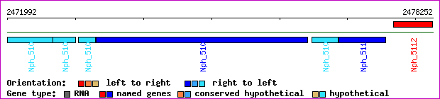 gene map