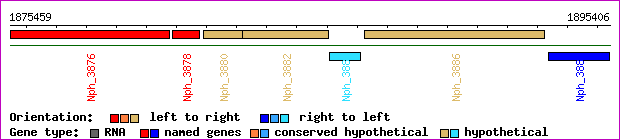 gene map