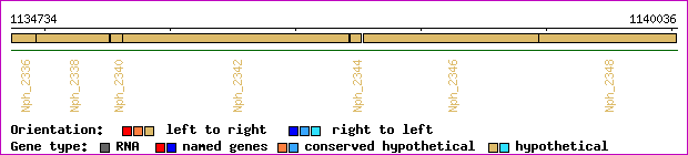 gene map