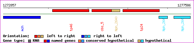 gene map