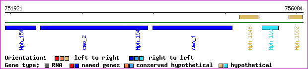 gene map