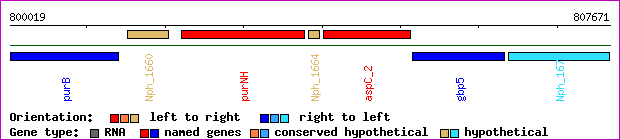gene map