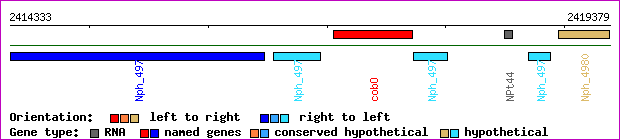 gene map