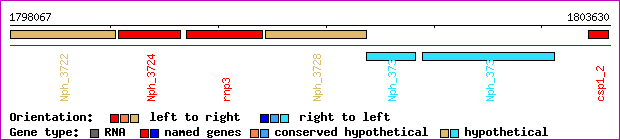 gene map
