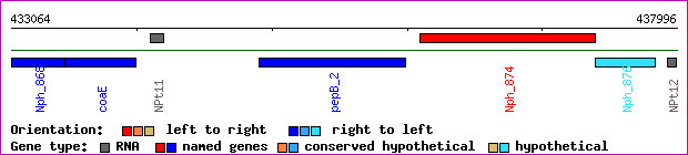 gene map