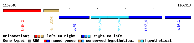 gene map