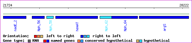 gene map
