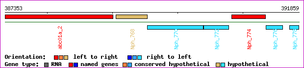 gene map
