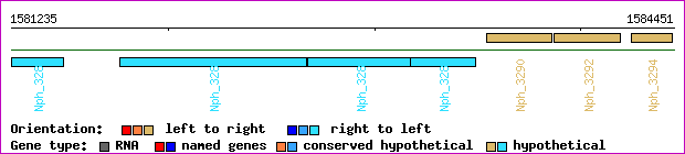 gene map
