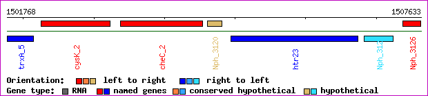 gene map