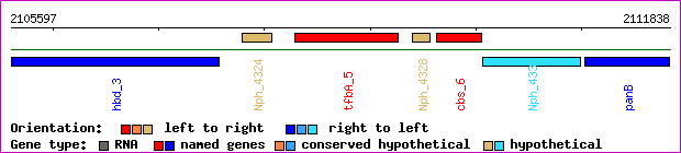 gene map