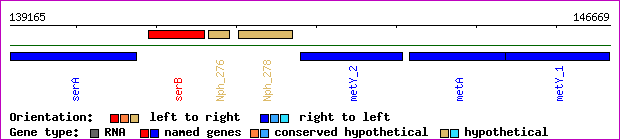 gene map