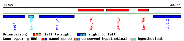 gene map