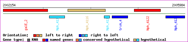 gene map