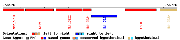 gene map