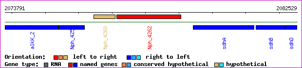 gene map