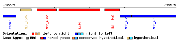 gene map