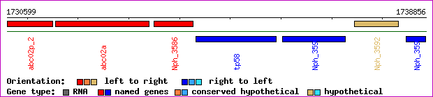gene map