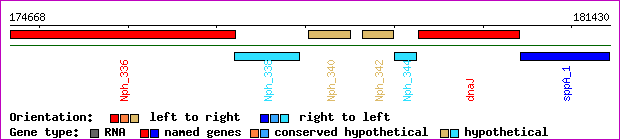 gene map