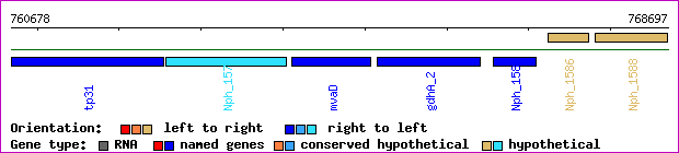 gene map