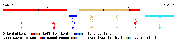 gene map