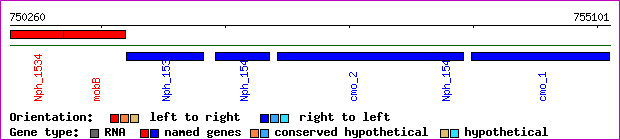 gene map