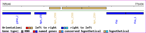 gene map