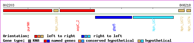gene map