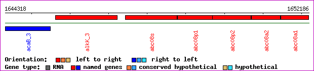 gene map