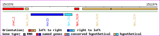 gene map