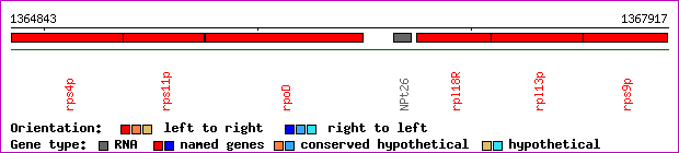 gene map