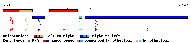 gene map