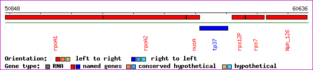 gene map
