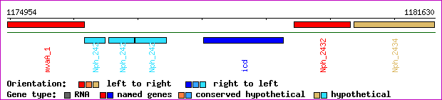 gene map