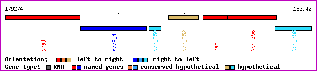 gene map