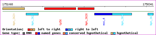 gene map