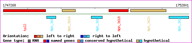 gene map