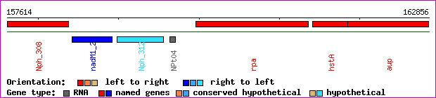 gene map