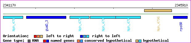 gene map