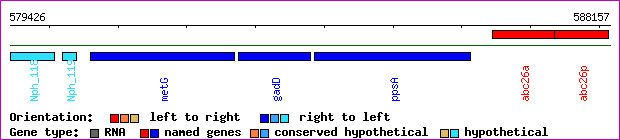 gene map