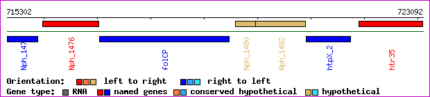 gene map