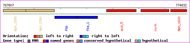 gene map