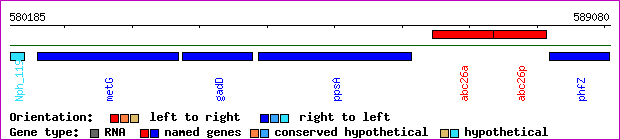 gene map
