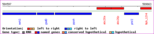 gene map