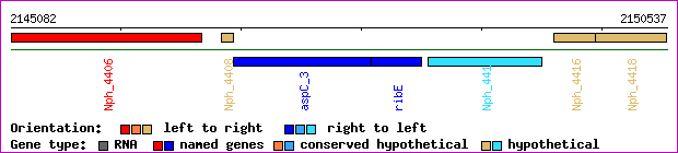 gene map