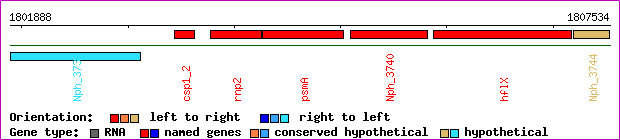 gene map