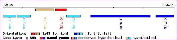 gene map