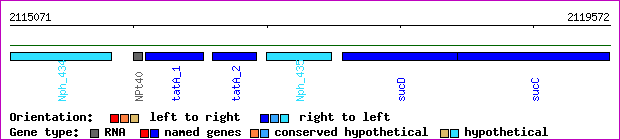 gene map